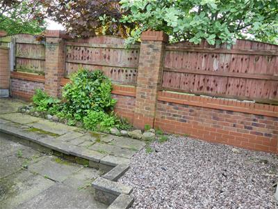 Picture 25